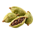 Photographic cardamom icon
