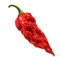 Photographic ghost icon
