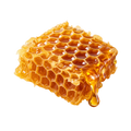 Photographic honey icon