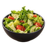 Photographic salad icon